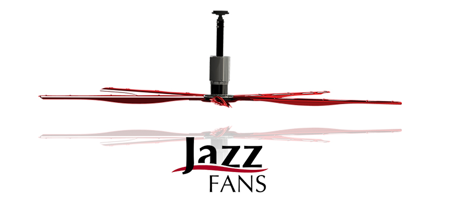 Jazz Fans